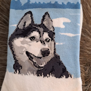 Arctic Merlin huskysukka 36-40