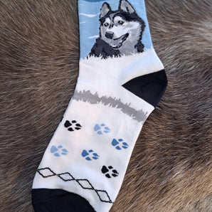 Arctic Merlin huskysukka 36-40