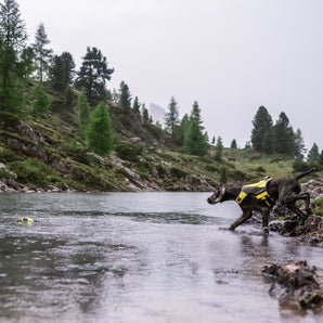 Axaeco Pippen kelluva koiranlelu