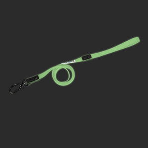 Axaeco Galaxy Leash (L)