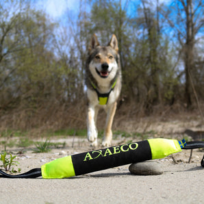 Axaeco Pippen kelluva koiranlelu