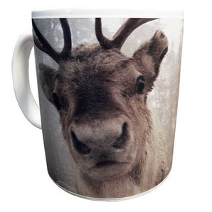 Muki Hölmö poro 9,5cm