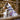 NonStop Trail quest collar Rachel Pohl edition purple/pink