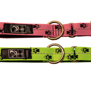 Axaeco Sleddog Collar Reflex tassukuvioitu koirankaulapanta