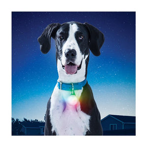 SpotLit XL Ladattava LED-pantavalo, Disc