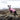 Non-stop Trail quest fleece pullover